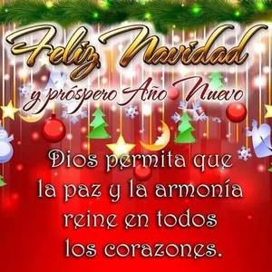 Meet your Posher, Nidia